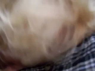 14290 amateur porn videos